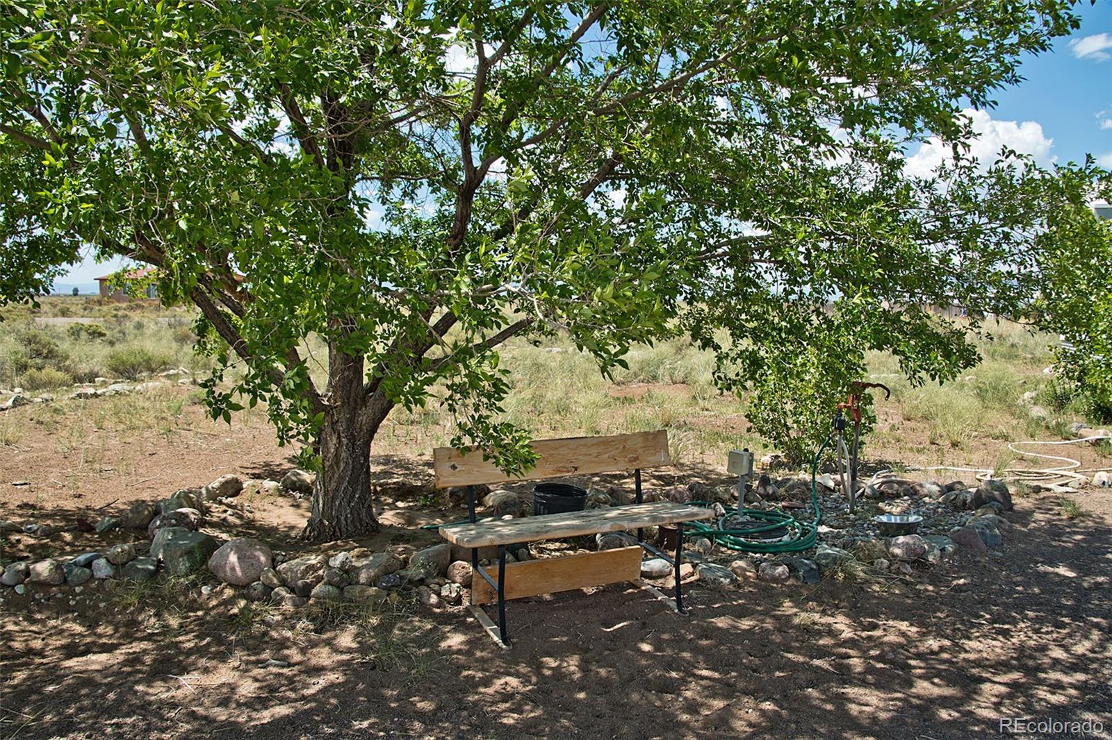 MLS Image #8 for 245  viejo lane,moffat, Colorado