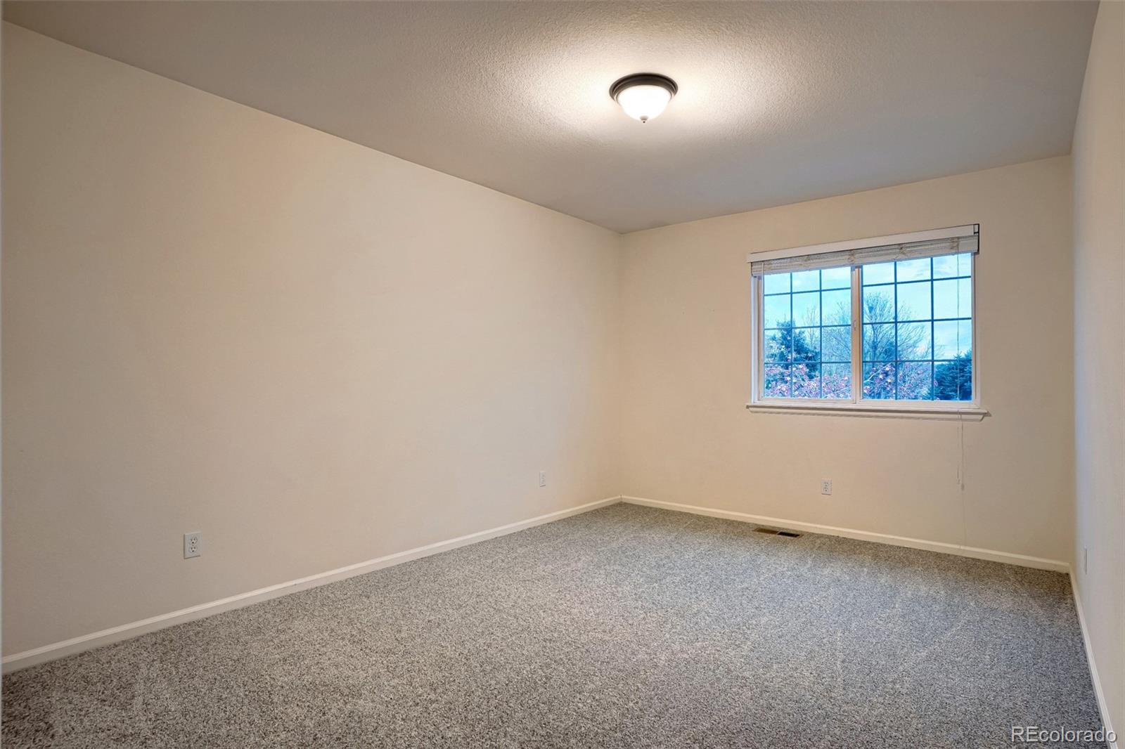 MLS Image #24 for 2389  bitterroot place,highlands ranch, Colorado