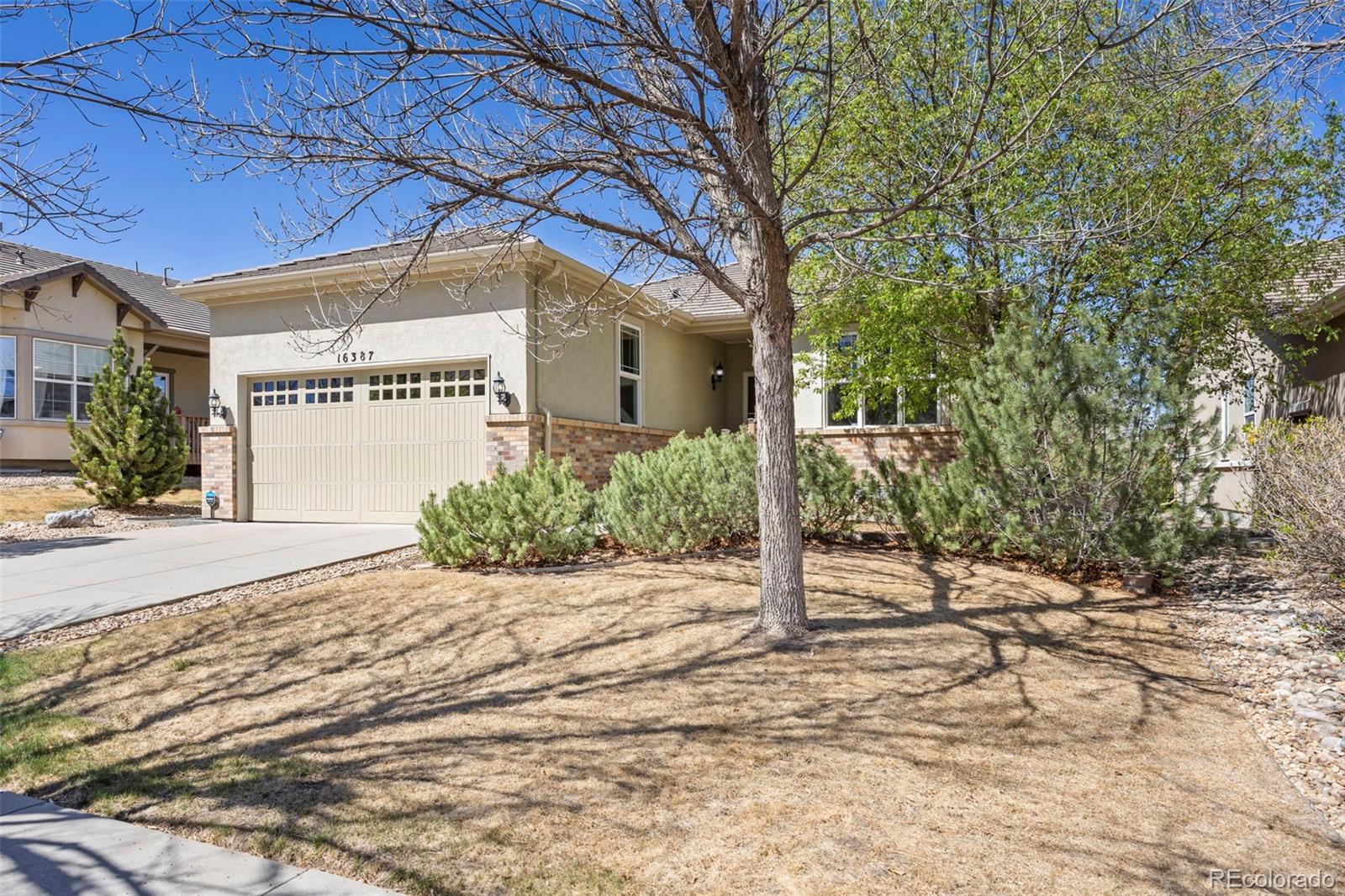 MLS Image #1 for 16387  aliante drive,broomfield, Colorado