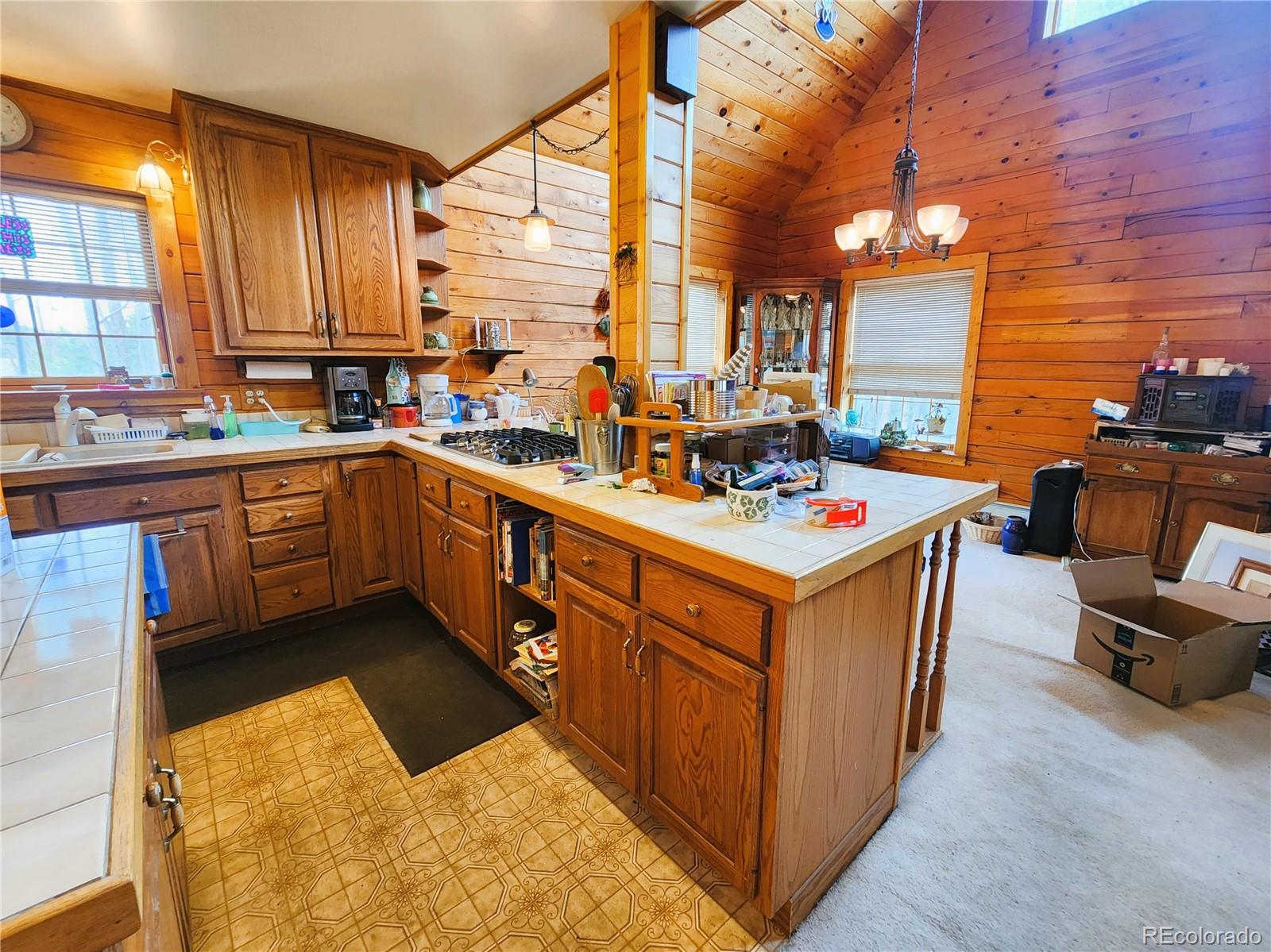 MLS Image #27 for 1330 s dory lakes drive,black hawk, Colorado
