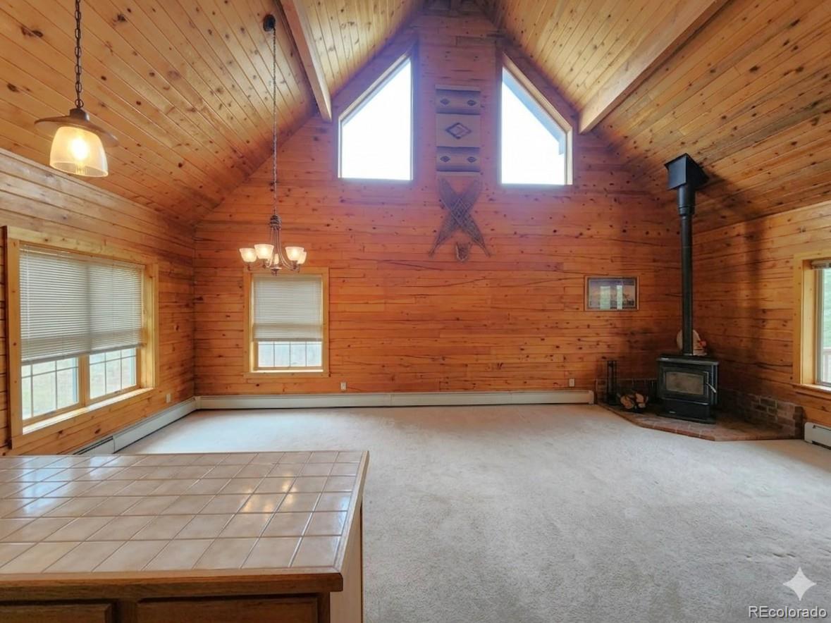 MLS Image #4 for 1330 s dory lakes drive,black hawk, Colorado