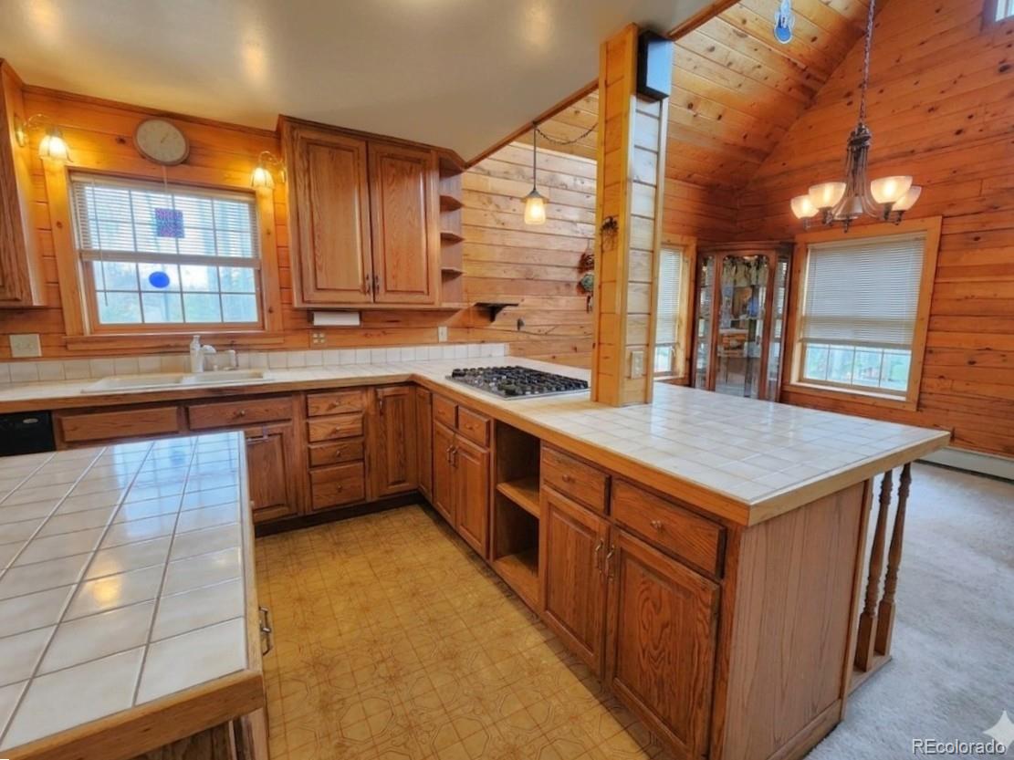 MLS Image #5 for 1330 s dory lakes drive,black hawk, Colorado