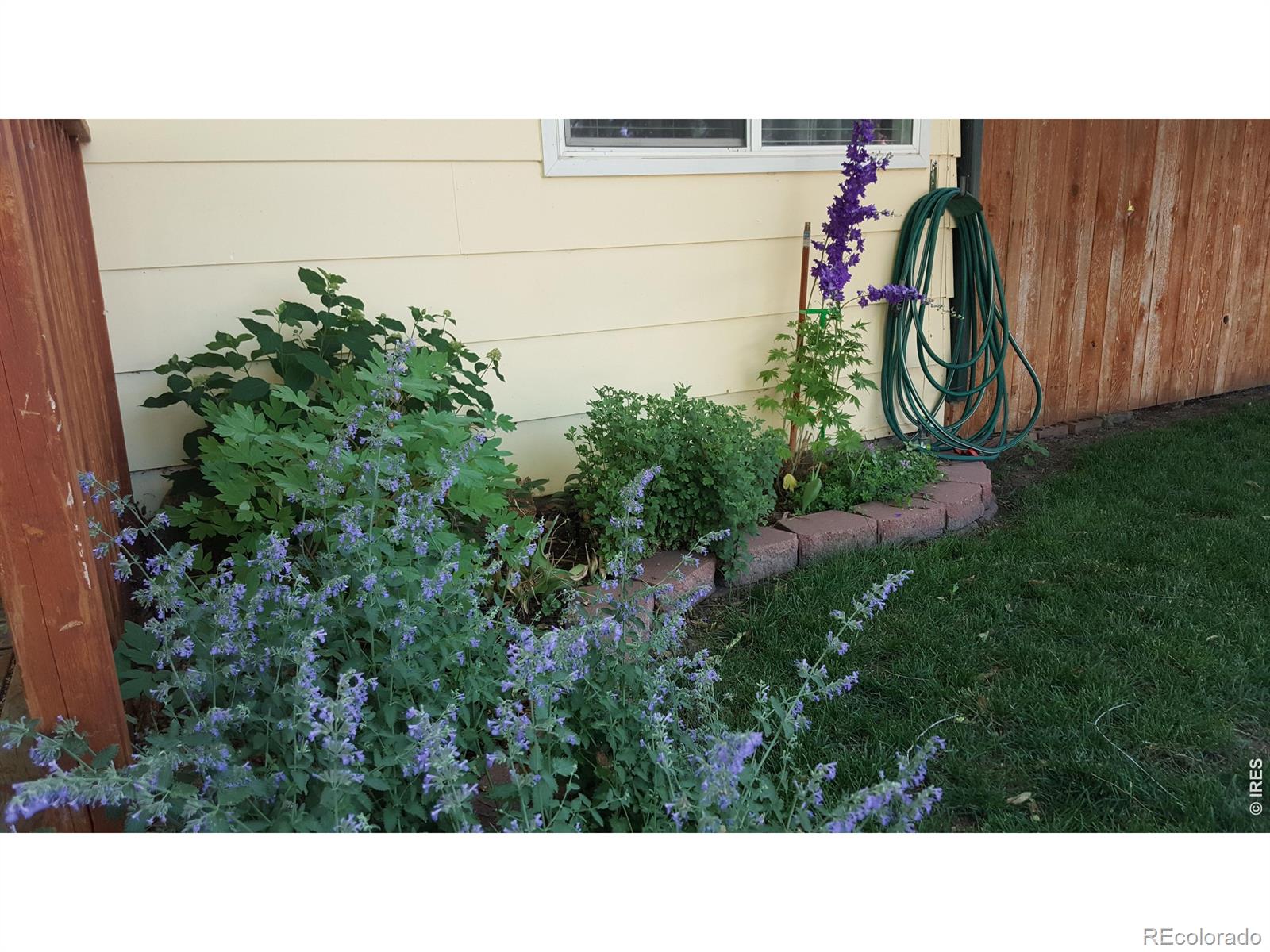 MLS Image #29 for 8111  3rd street,wellington, Colorado