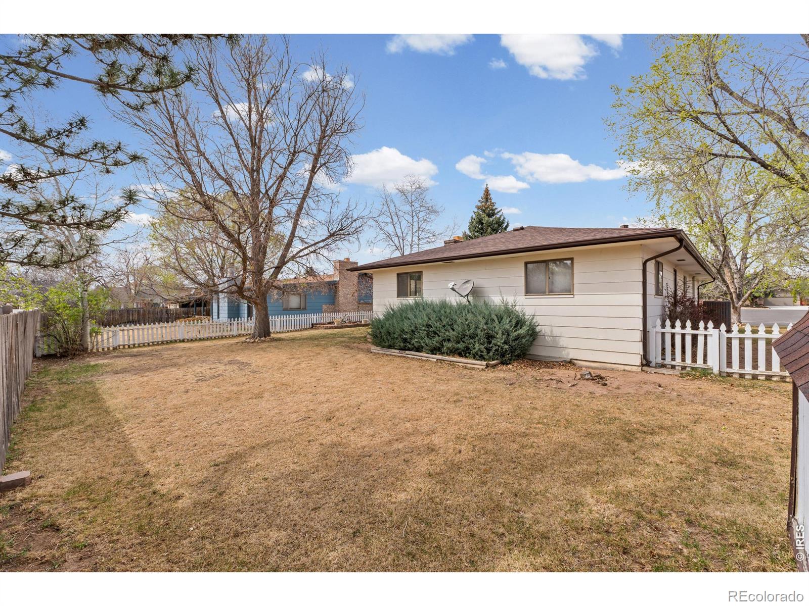 MLS Image #38 for 717  oak street,windsor, Colorado
