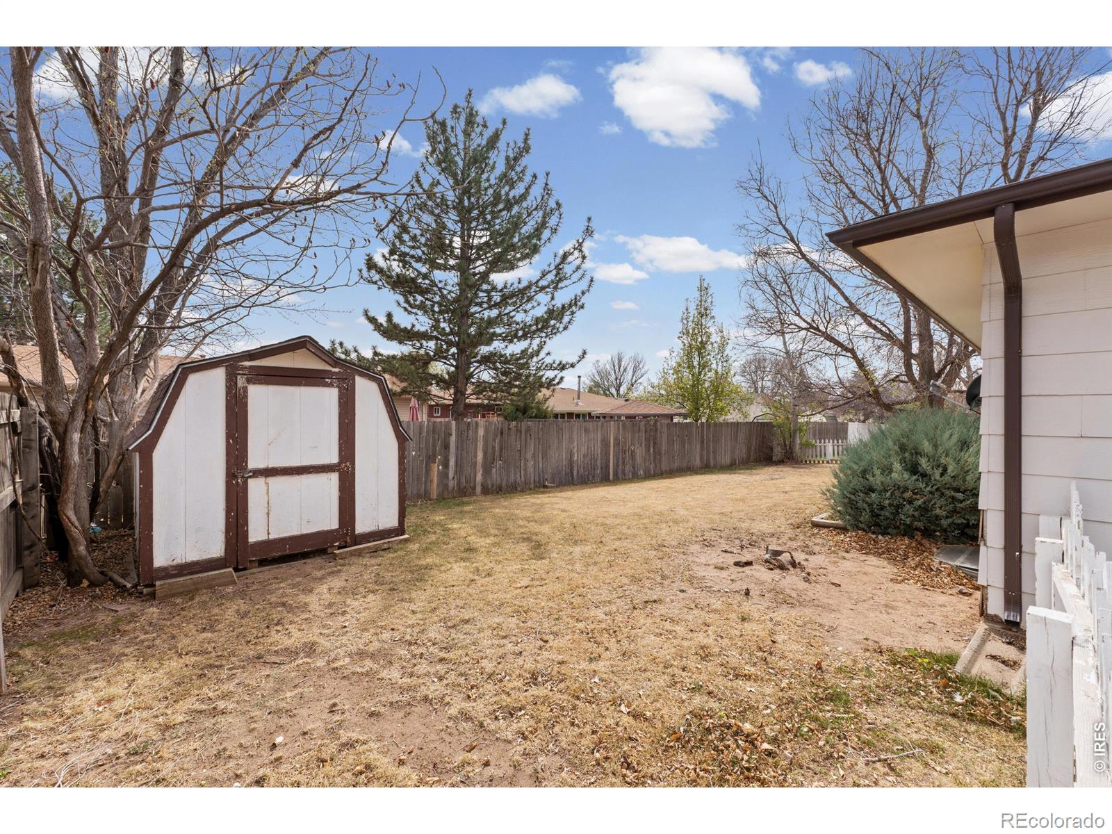 MLS Image #39 for 717  oak street,windsor, Colorado