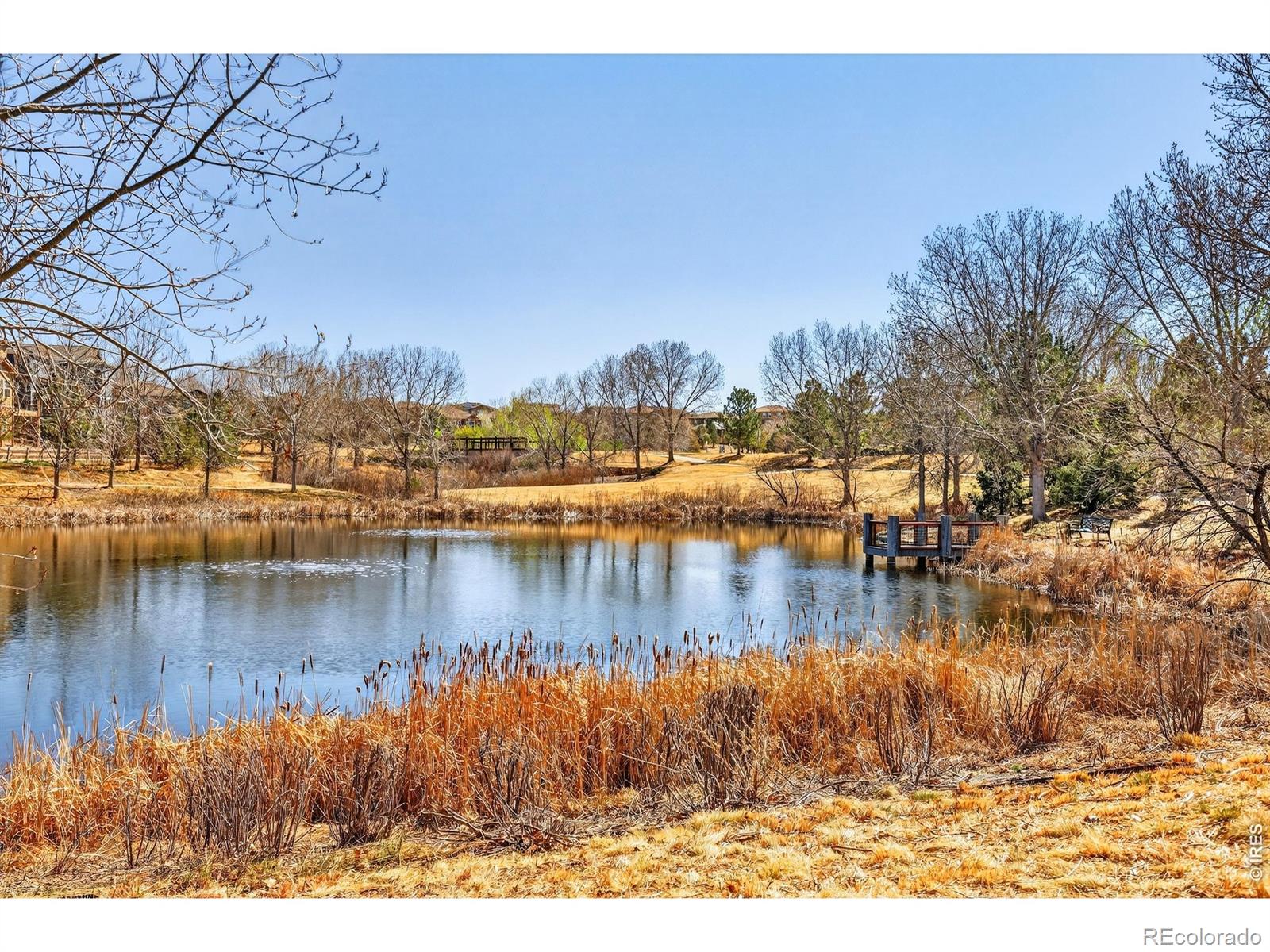MLS Image #47 for 16759  prospect lane,broomfield, Colorado