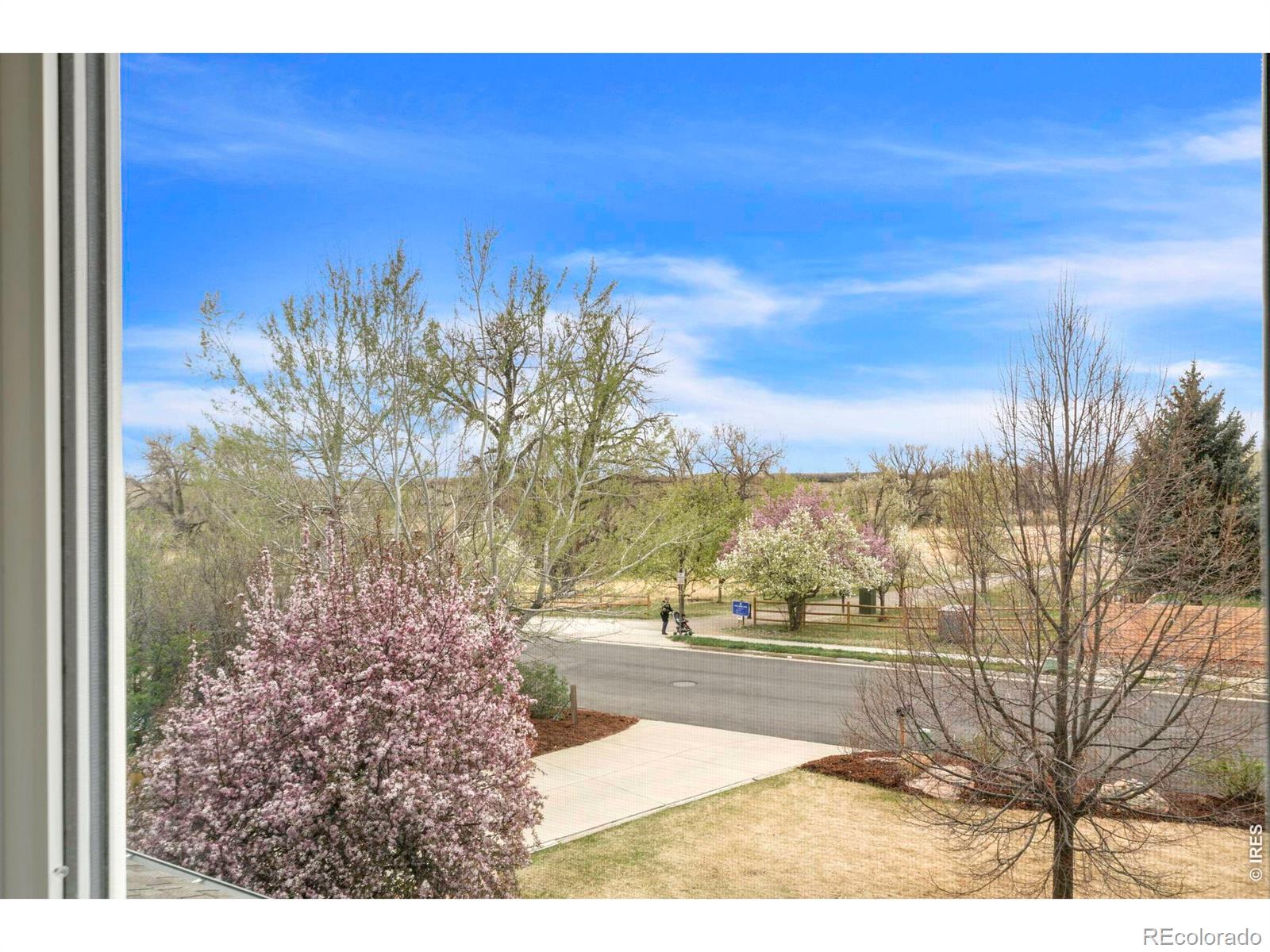 MLS Image #24 for 797  aspen way,louisville, Colorado