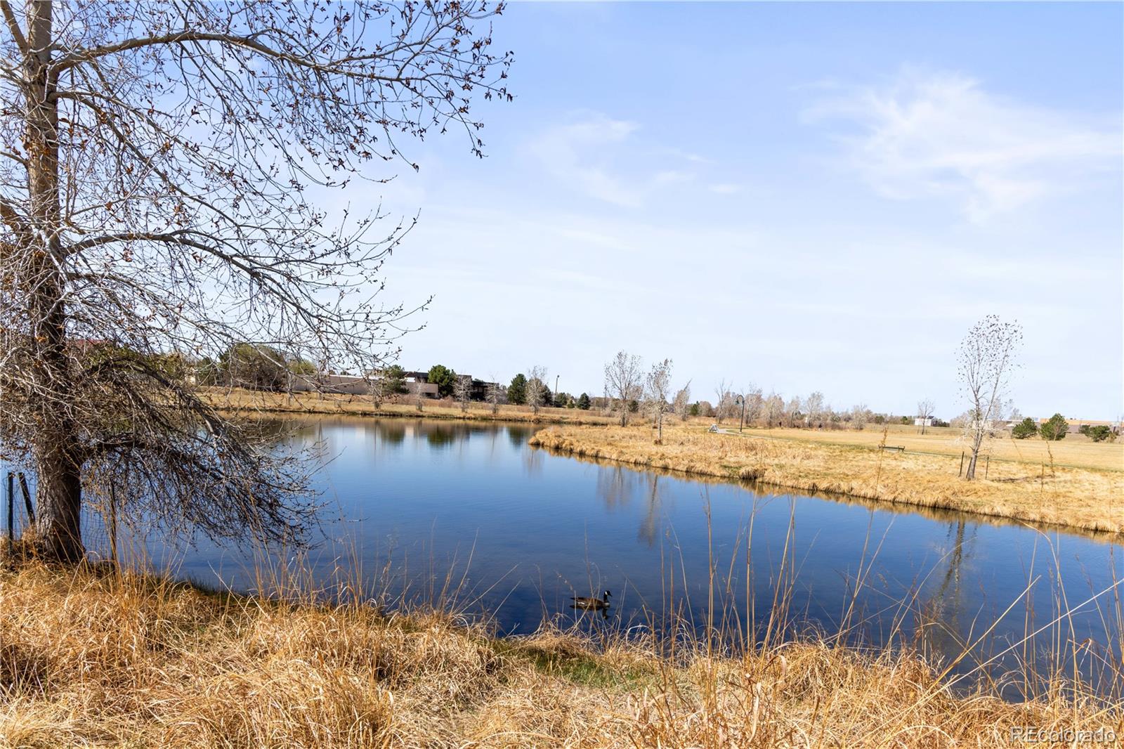 MLS Image #22 for 8200 e 8th avenue 1203,denver, Colorado