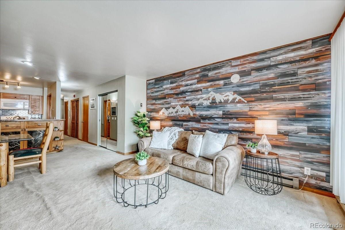MLS Image #1 for 22804  us highway 6 ,keystone, Colorado
