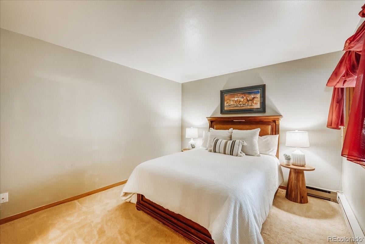MLS Image #11 for 22804  us highway 6 ,keystone, Colorado