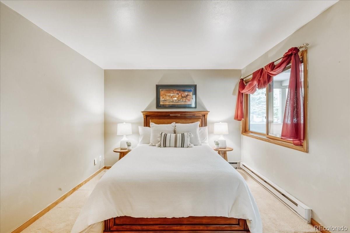 MLS Image #14 for 22804  us highway 6 ,keystone, Colorado