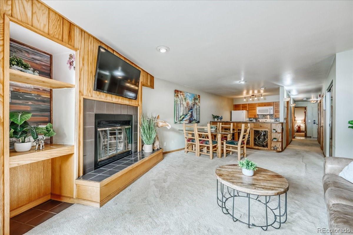 MLS Image #3 for 22804  us highway 6 ,keystone, Colorado