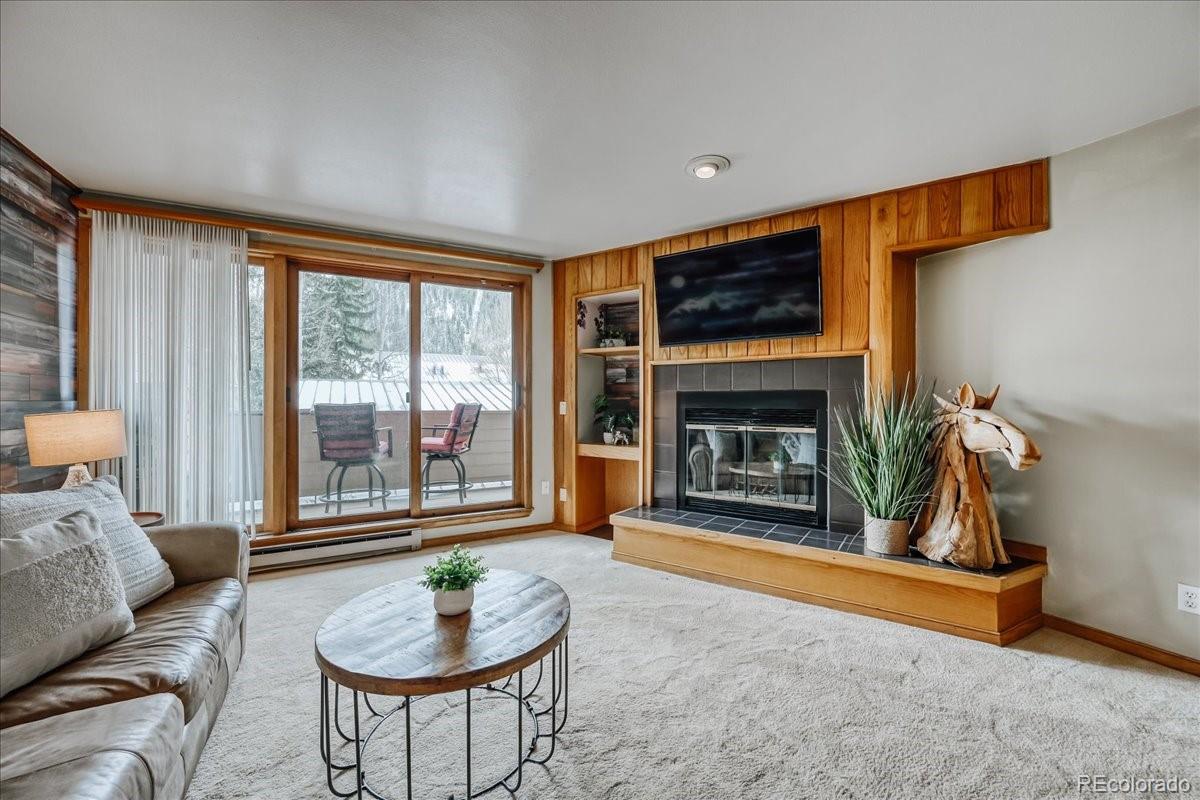 MLS Image #4 for 22804  us highway 6 ,keystone, Colorado