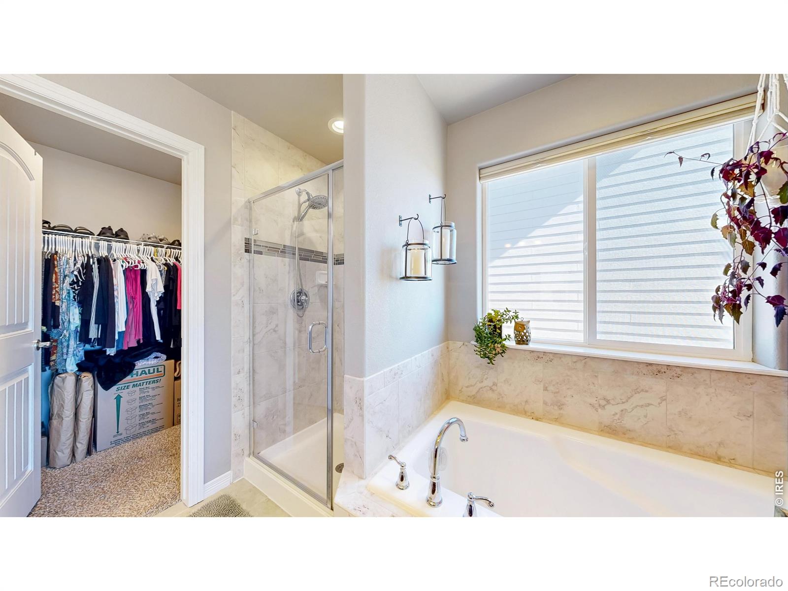 MLS Image #19 for 5433  bristow road,timnath, Colorado