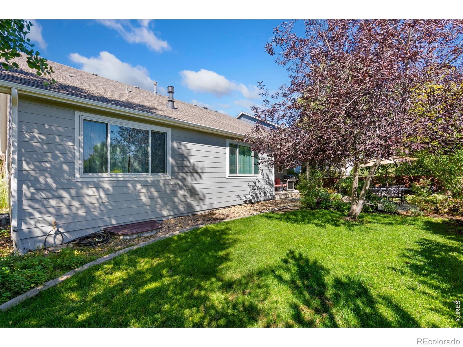 MLS Image #31 for 5574  quarry street,timnath, Colorado