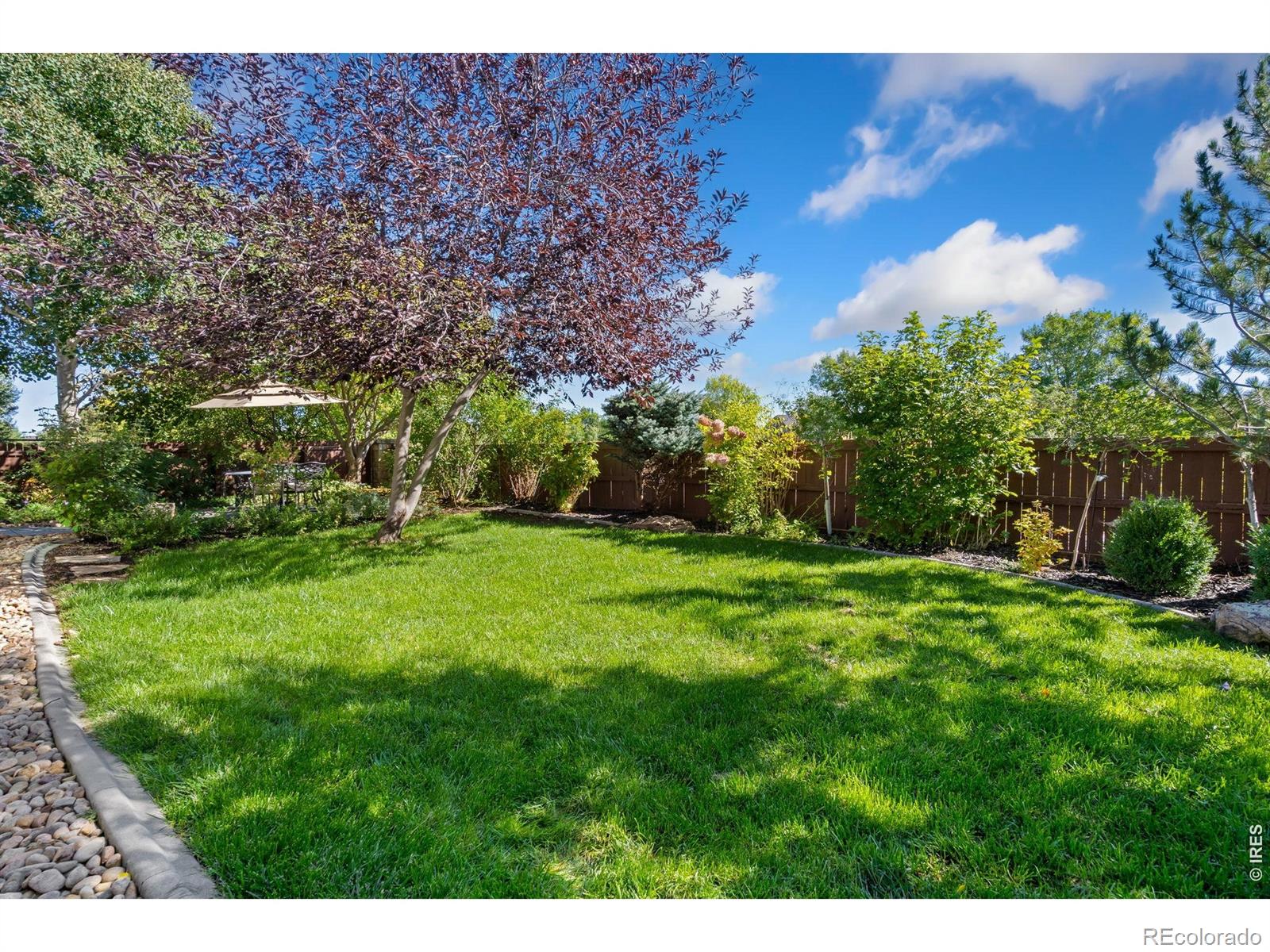 MLS Image #35 for 5574  quarry street,timnath, Colorado