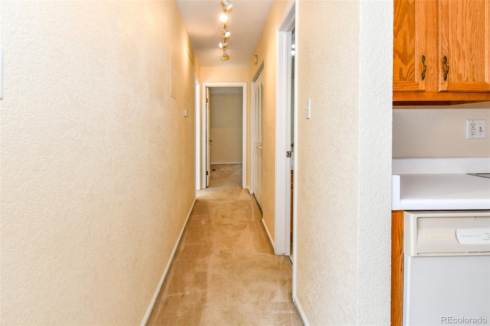 MLS Image #19 for 8488  everett way e,arvada, Colorado