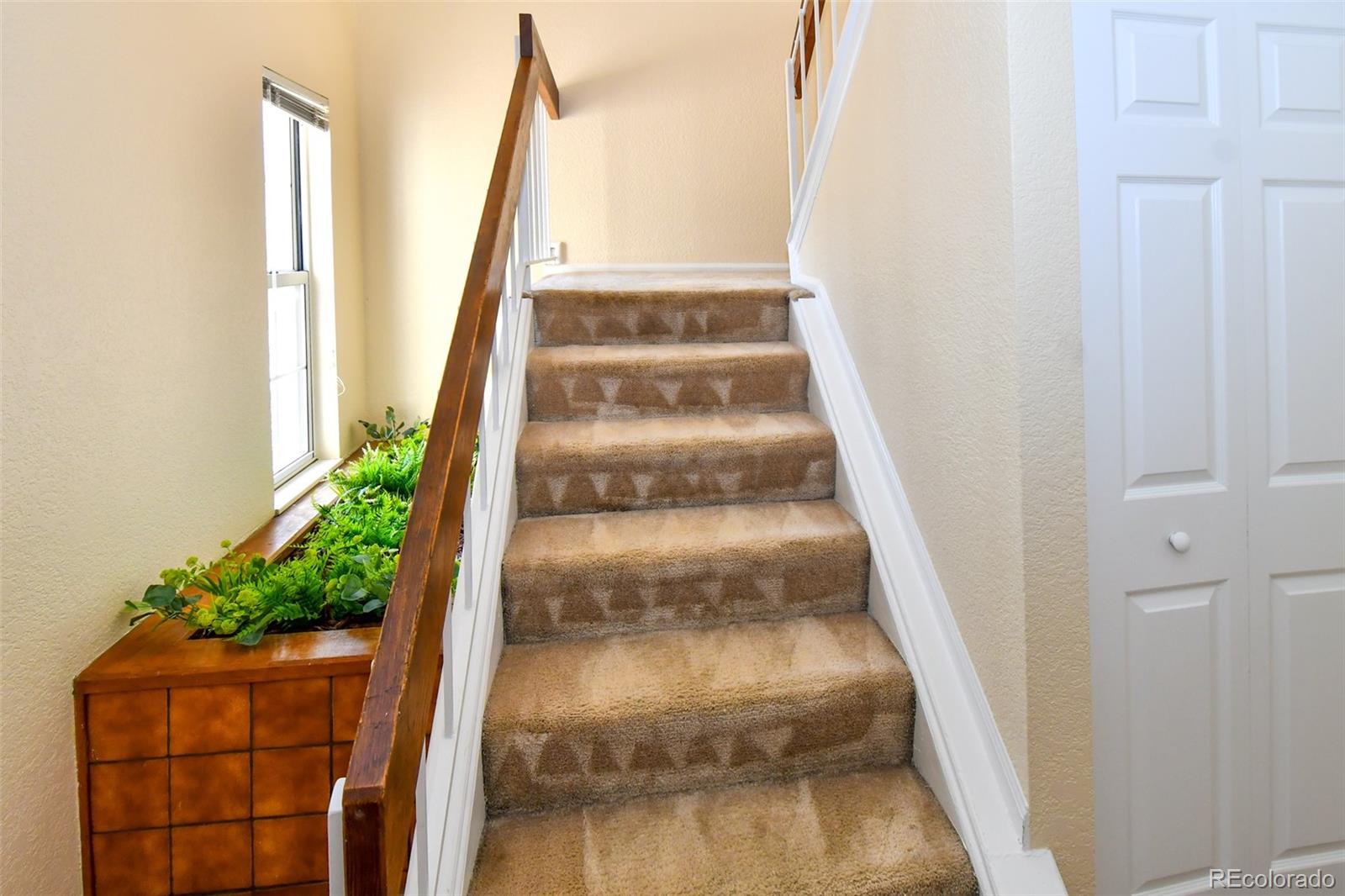 MLS Image #3 for 8488  everett way e,arvada, Colorado
