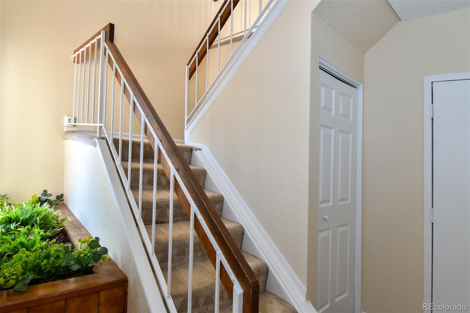 MLS Image #4 for 8488  everett way e,arvada, Colorado