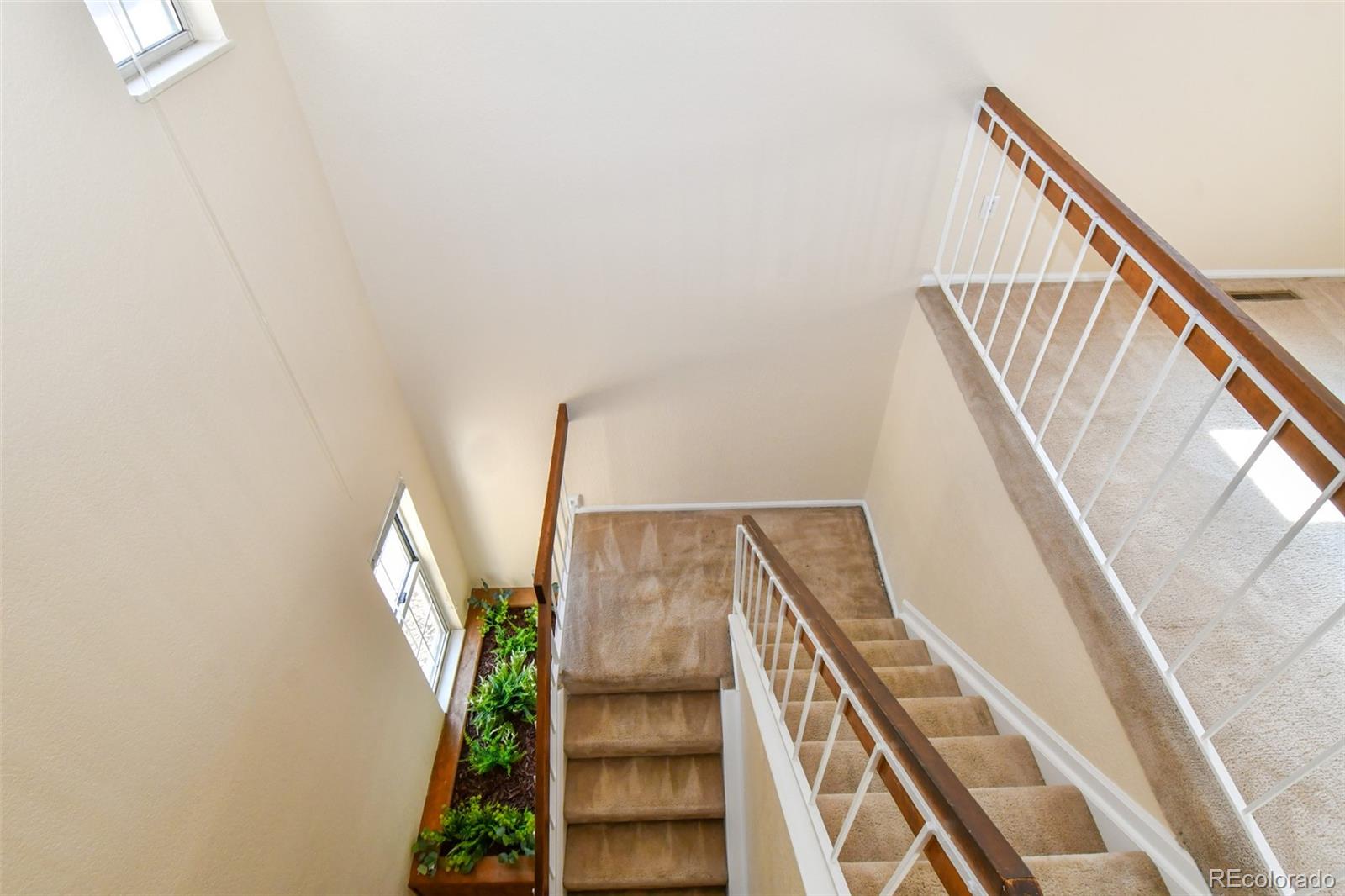MLS Image #5 for 8488  everett way e,arvada, Colorado