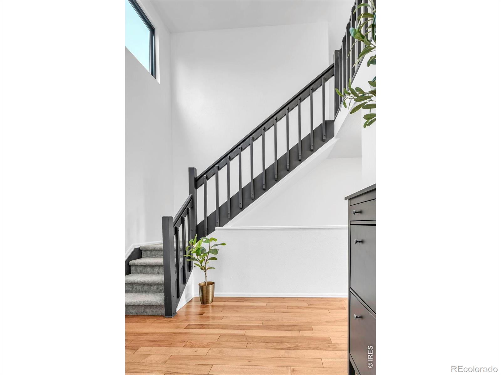MLS Image #4 for 480  catalpa court,louisville, Colorado