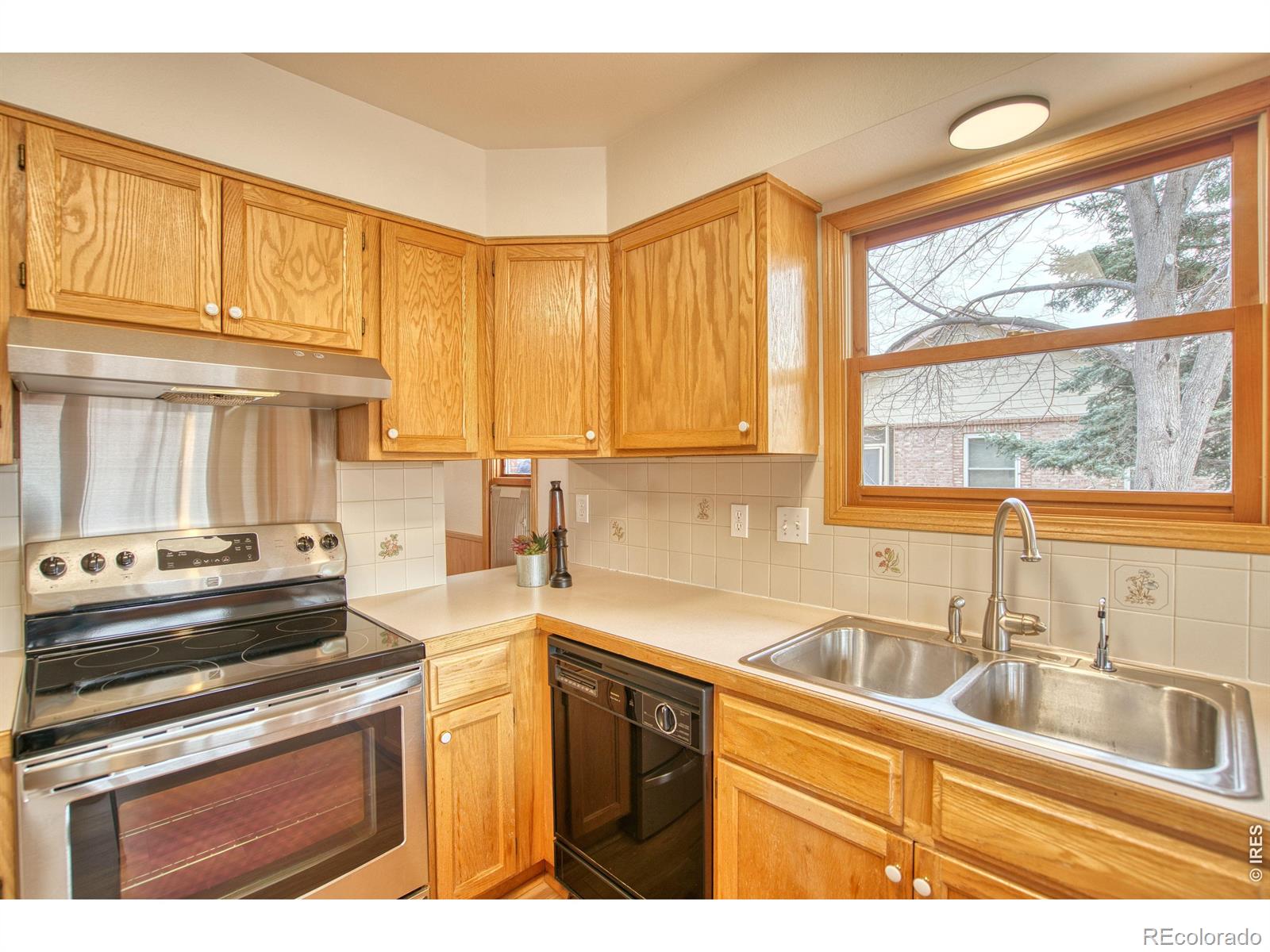 MLS Image #10 for 824  wade road,longmont, Colorado