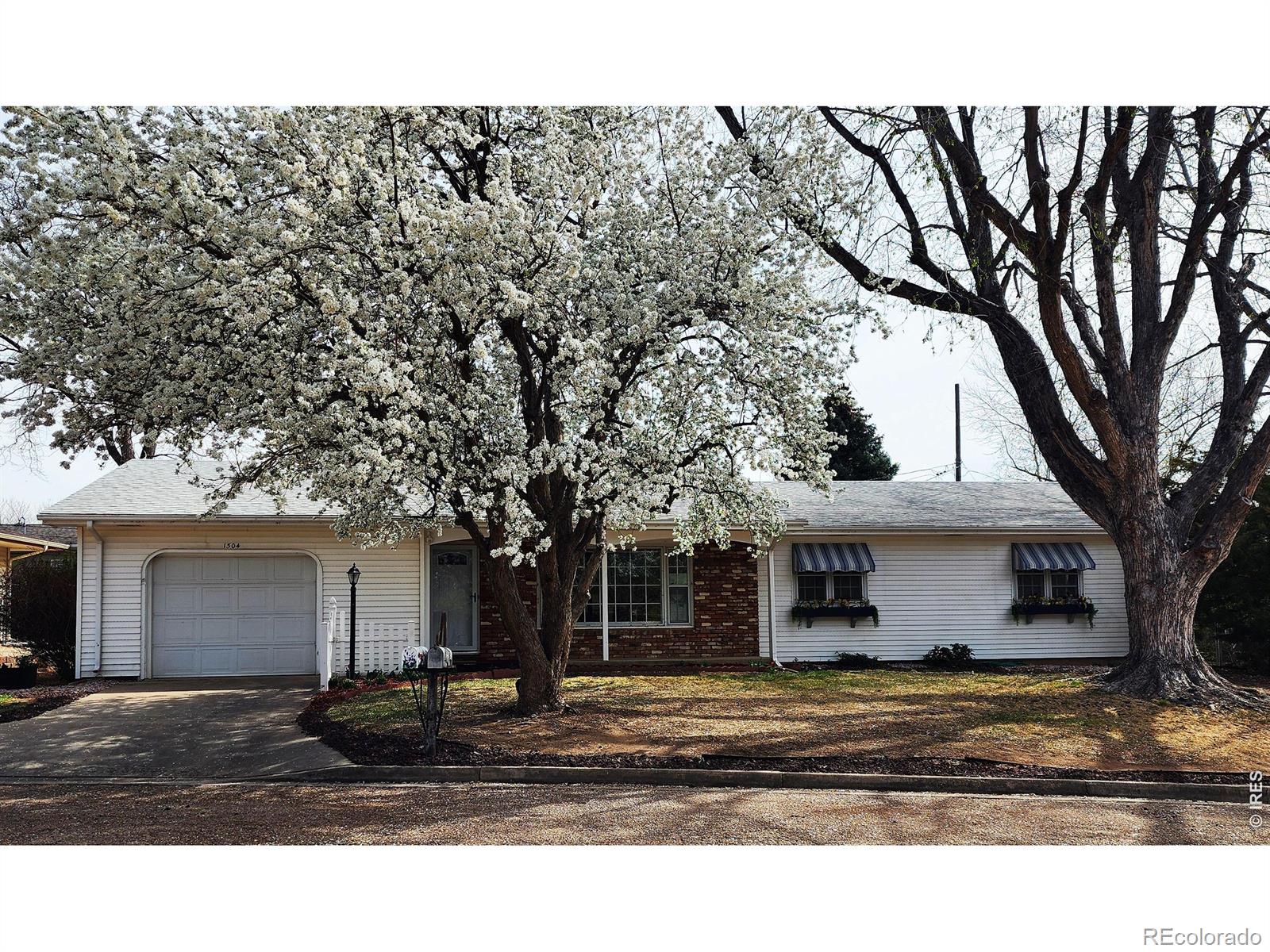 MLS Image #0 for 1304  elm avenue,loveland, Colorado