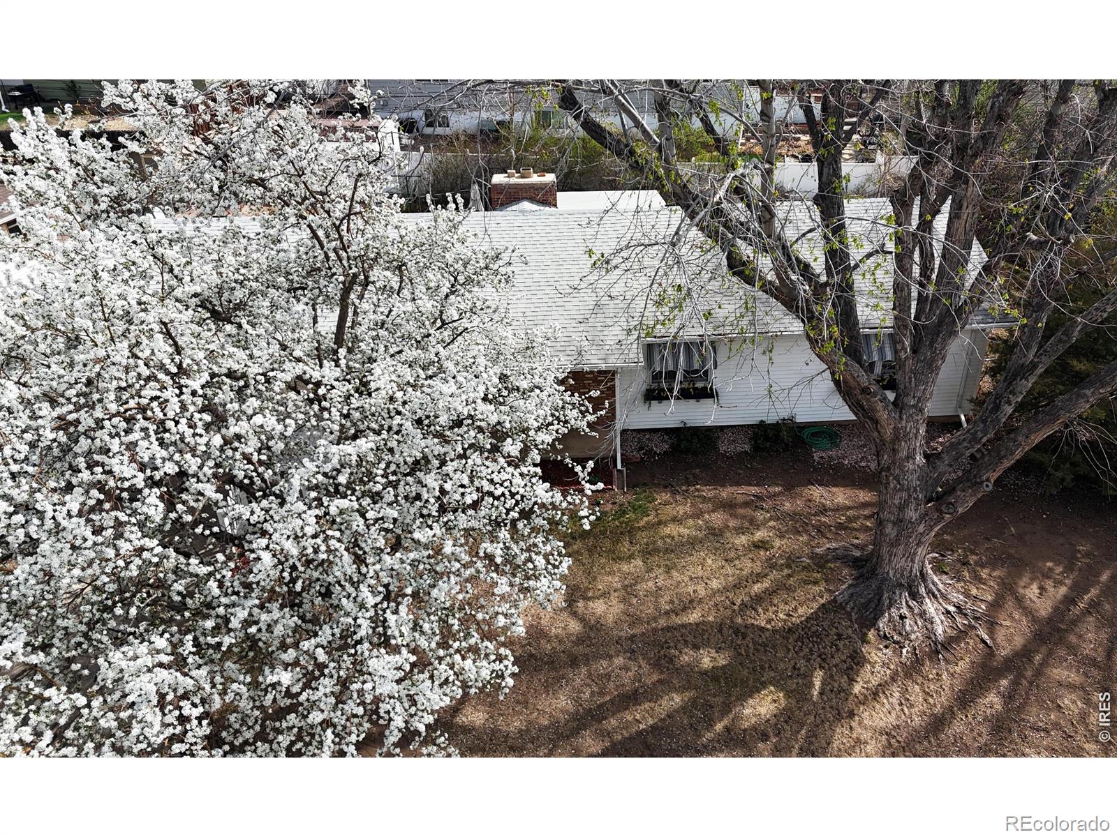 MLS Image #1 for 1304  elm avenue,loveland, Colorado