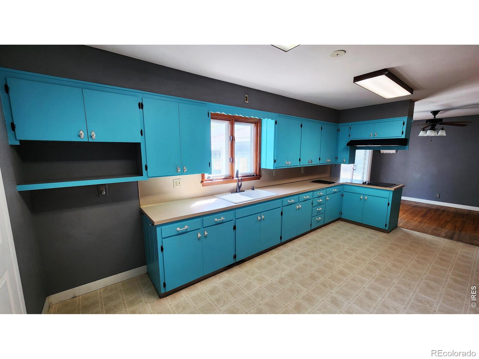 MLS Image #14 for 1304  elm avenue,loveland, Colorado