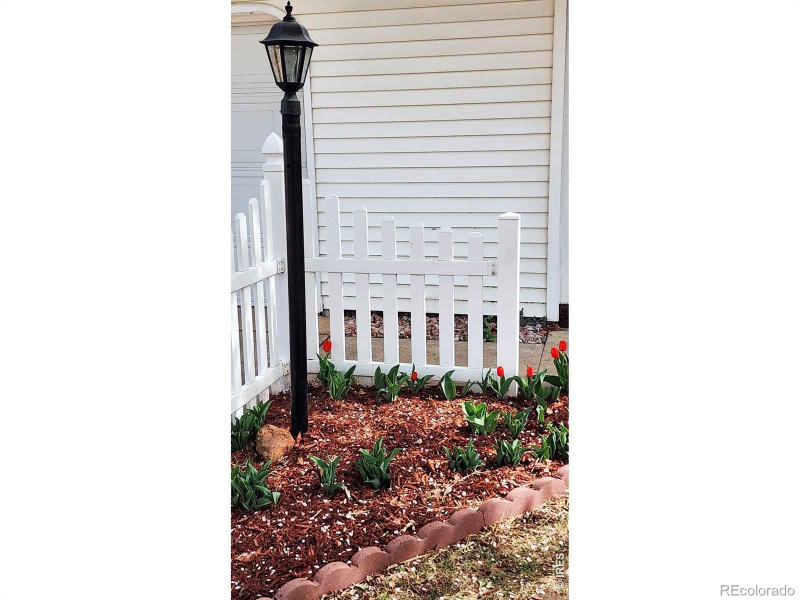 MLS Image #2 for 1304  elm avenue,loveland, Colorado