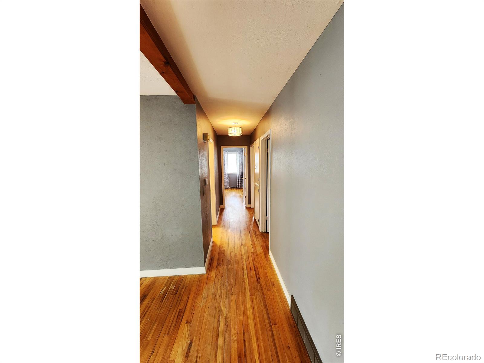 MLS Image #20 for 1304  elm avenue,loveland, Colorado
