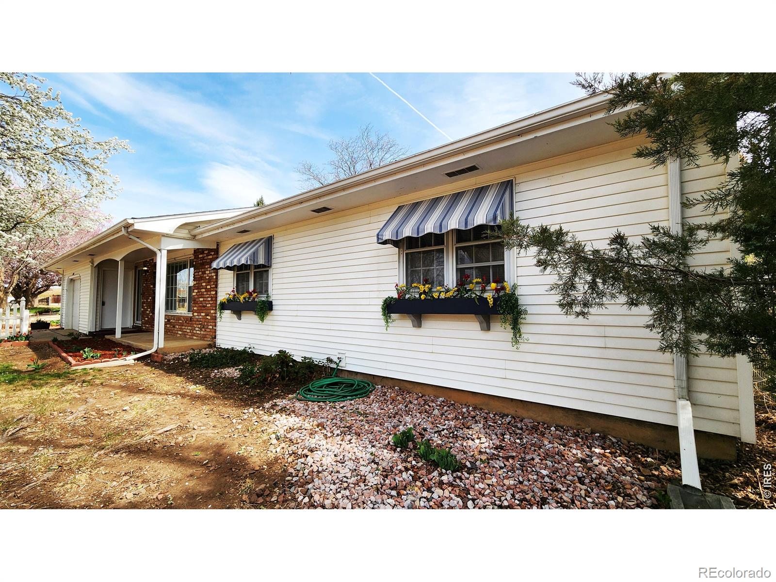 MLS Image #3 for 1304  elm avenue,loveland, Colorado