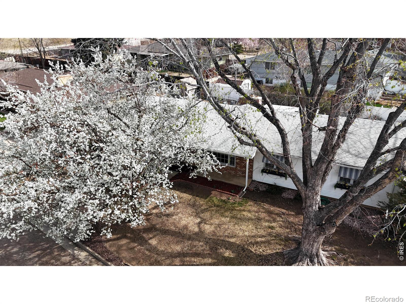 MLS Image #39 for 1304  elm avenue,loveland, Colorado