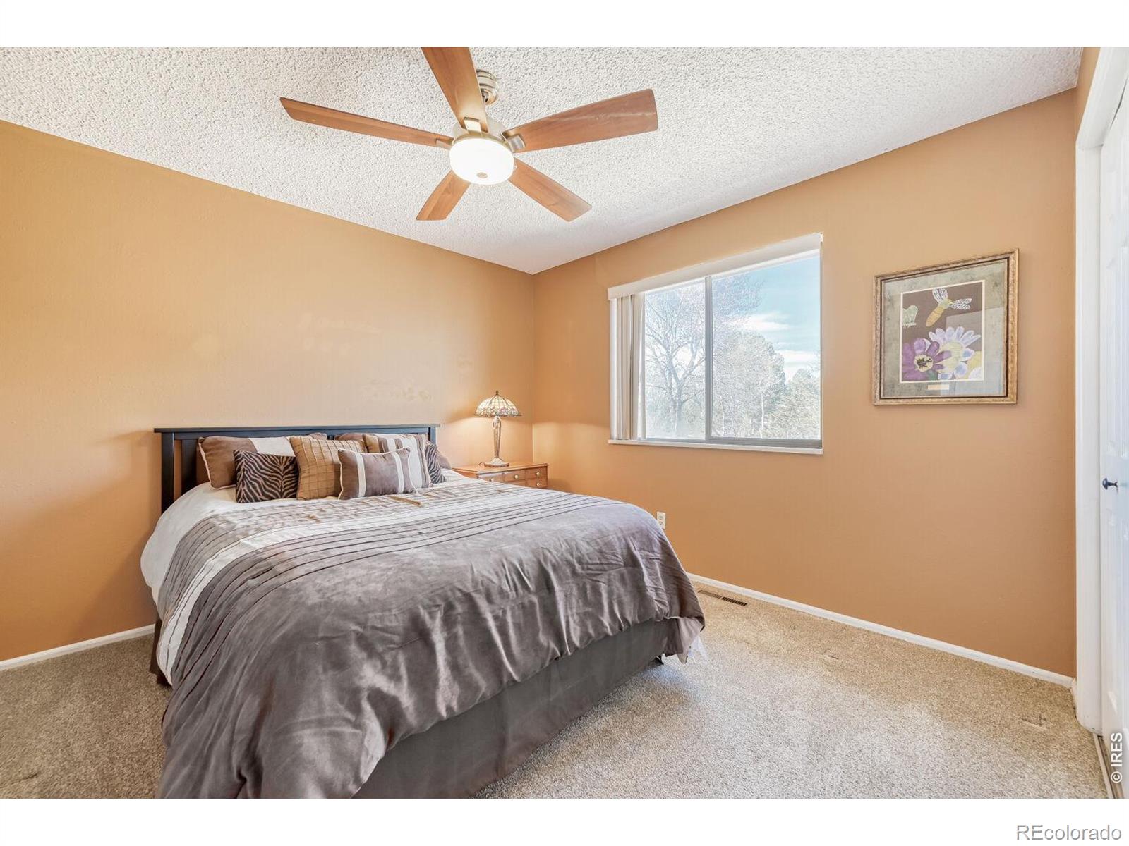 MLS Image #16 for 1617  ithaca court,longmont, Colorado