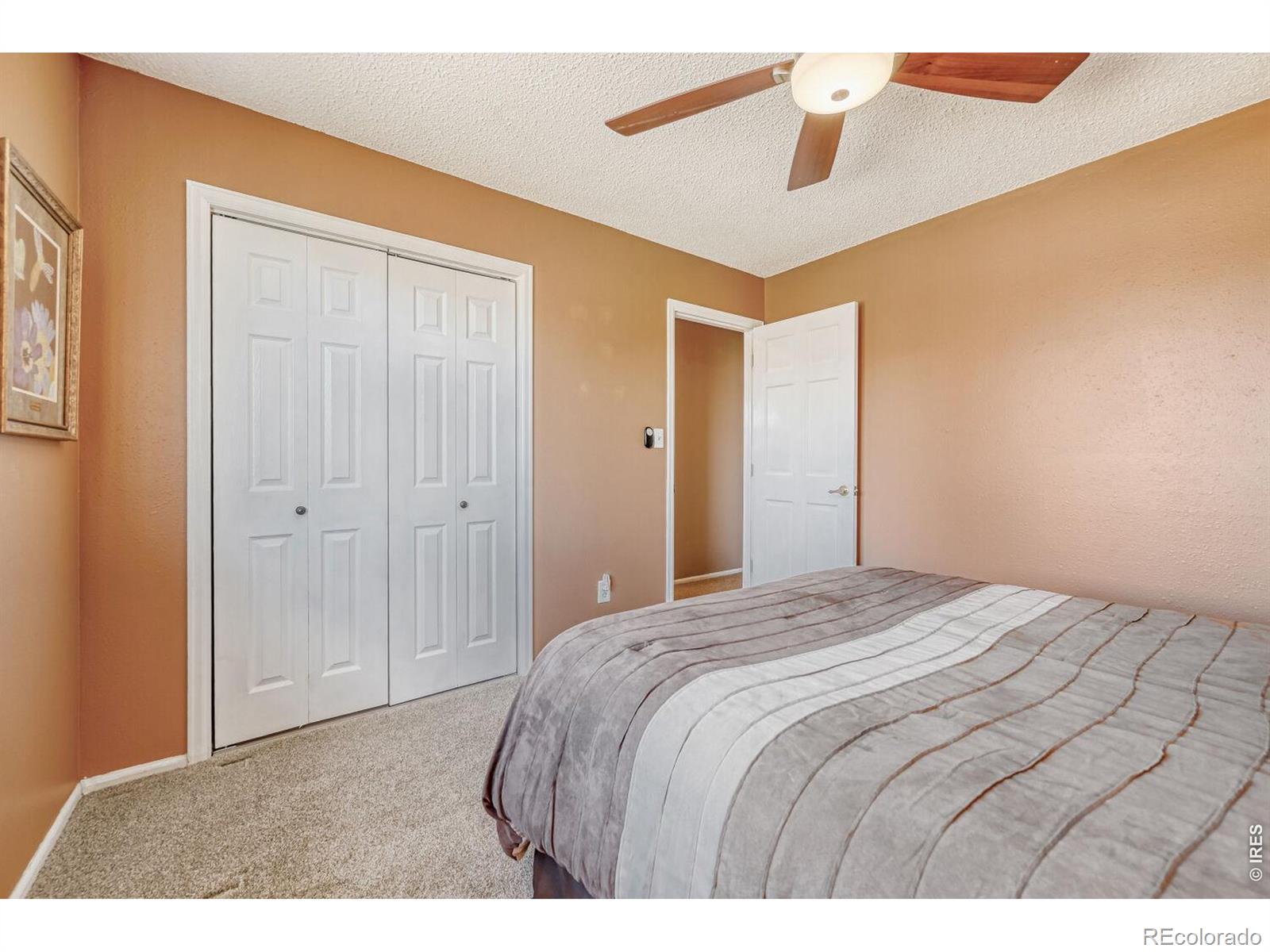 MLS Image #17 for 1617  ithaca court,longmont, Colorado