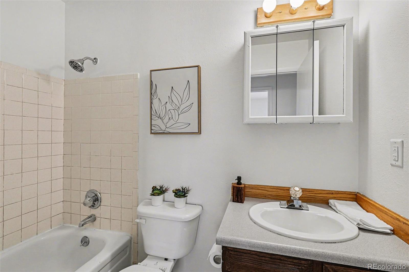 MLS Image #8 for 10718  owens street,broomfield, Colorado