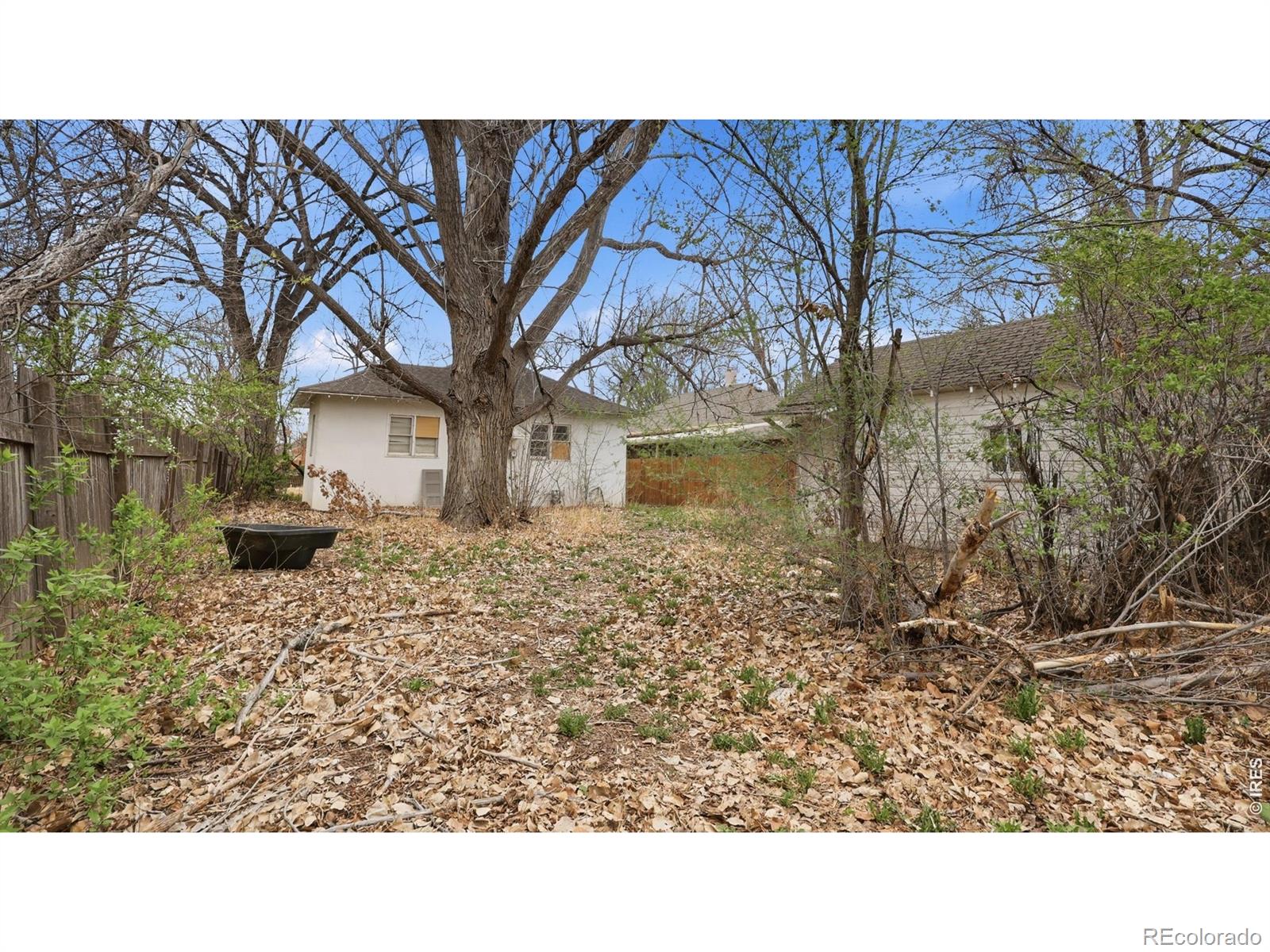MLS Image #15 for 509  clayton street,brush, Colorado