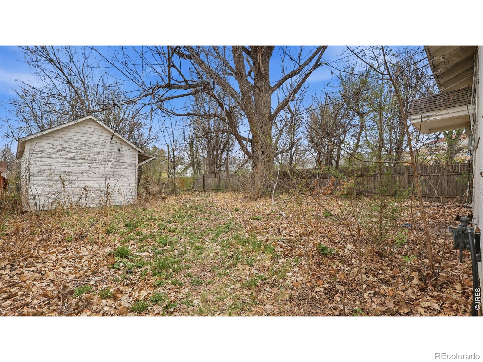 MLS Image #16 for 509  clayton street,brush, Colorado