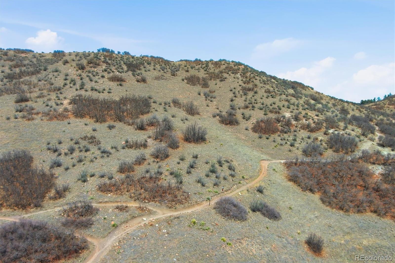 MLS Image #47 for 1484  thunder butte road,castle rock, Colorado