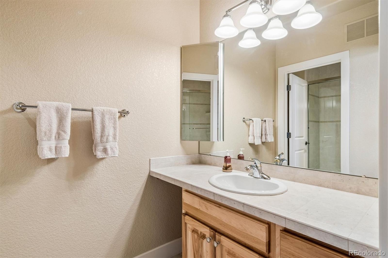 MLS Image #30 for 3959  serenade road,castle rock, Colorado