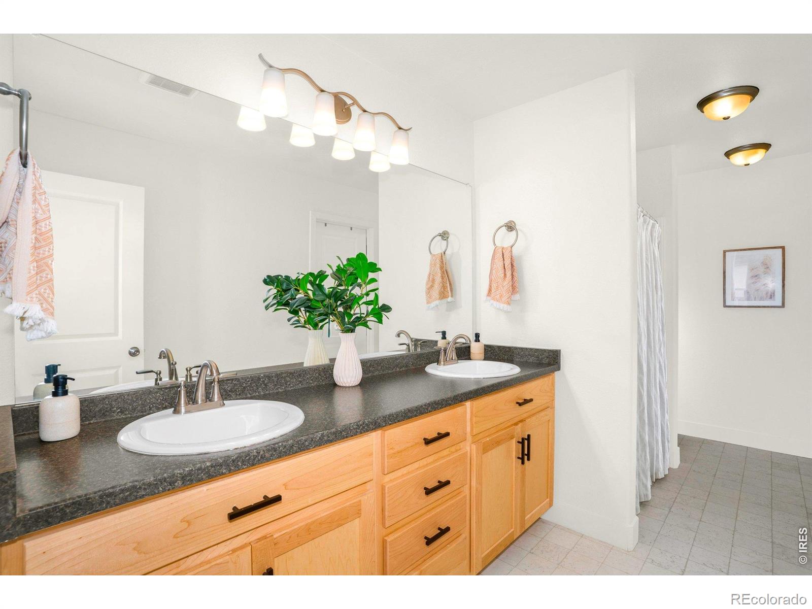 MLS Image #14 for 934  milner pass road,severance, Colorado