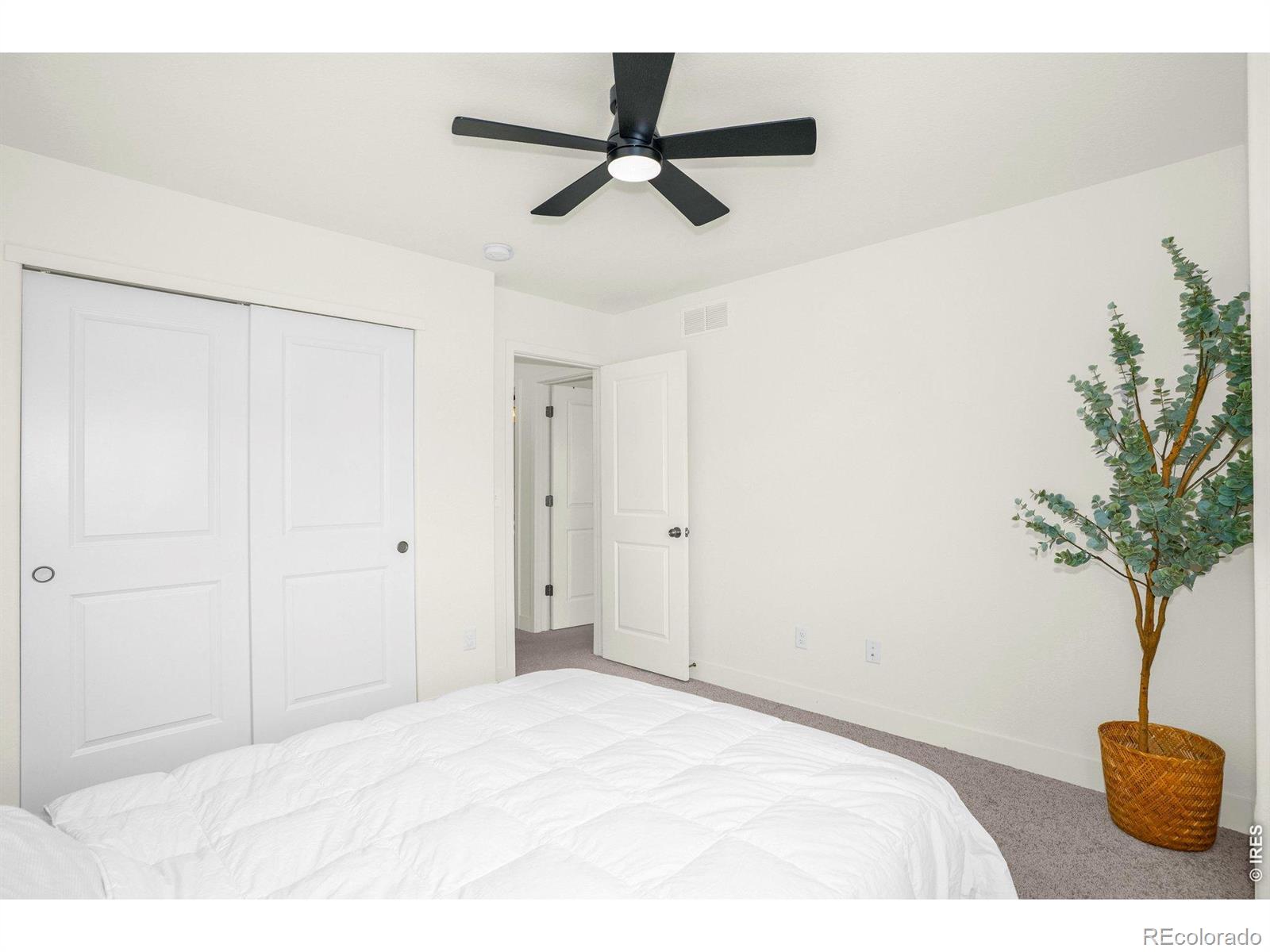MLS Image #17 for 934  milner pass road,severance, Colorado