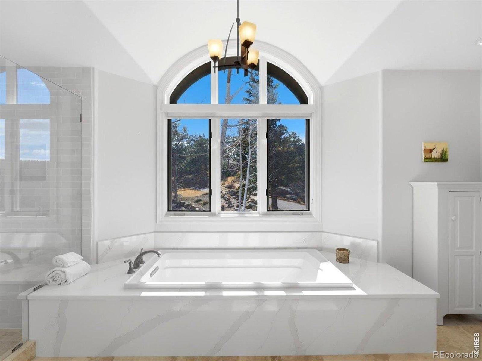 MLS Image #2 for 290  skyhill drive,evergreen, Colorado