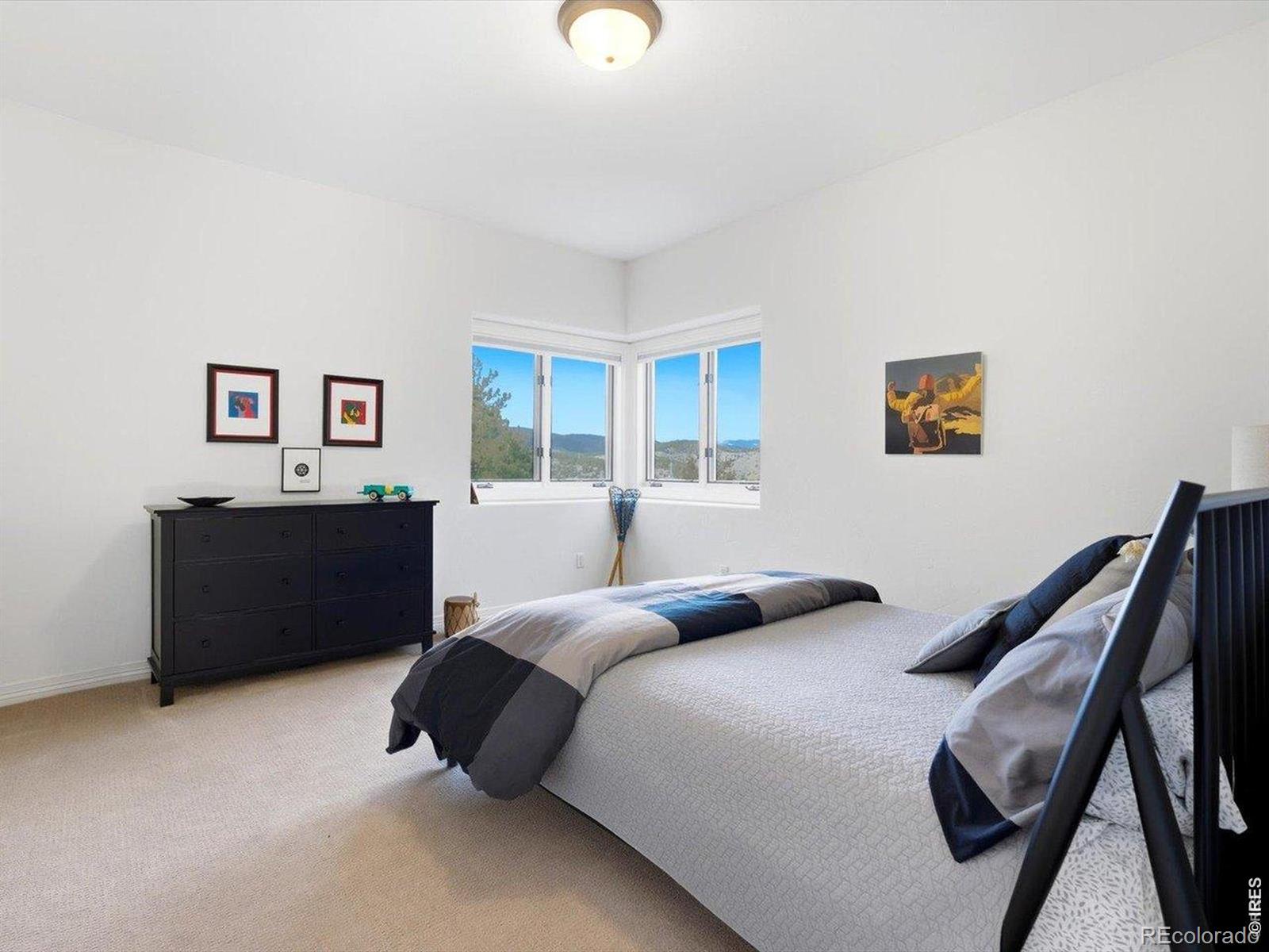 MLS Image #41 for 290  skyhill drive,evergreen, Colorado