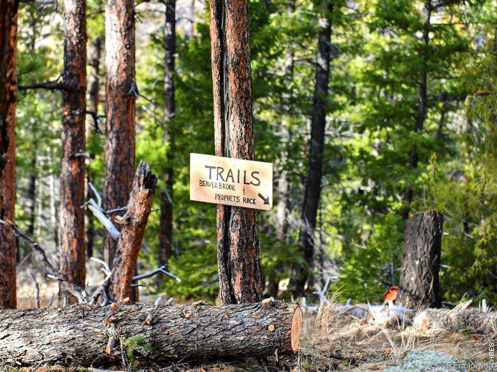 MLS Image #5 for 290  skyhill drive,evergreen, Colorado