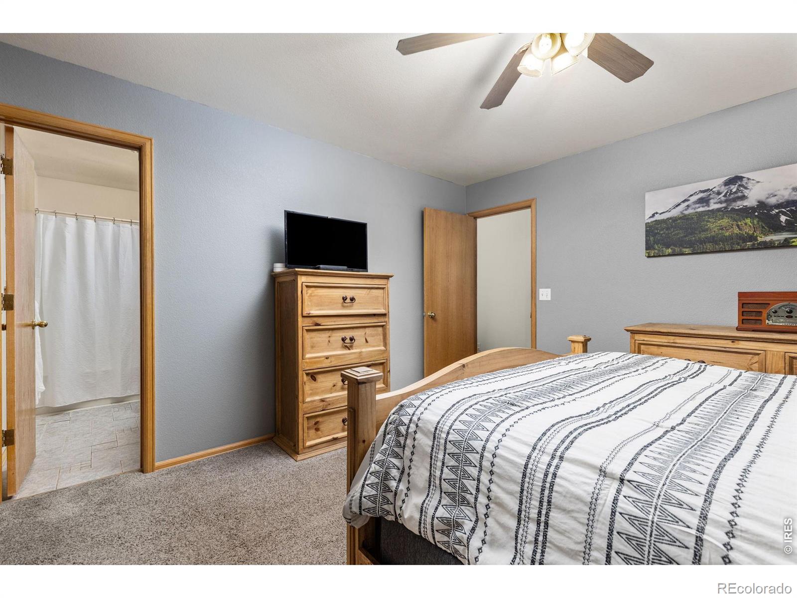 MLS Image #10 for 414  14th street,windsor, Colorado