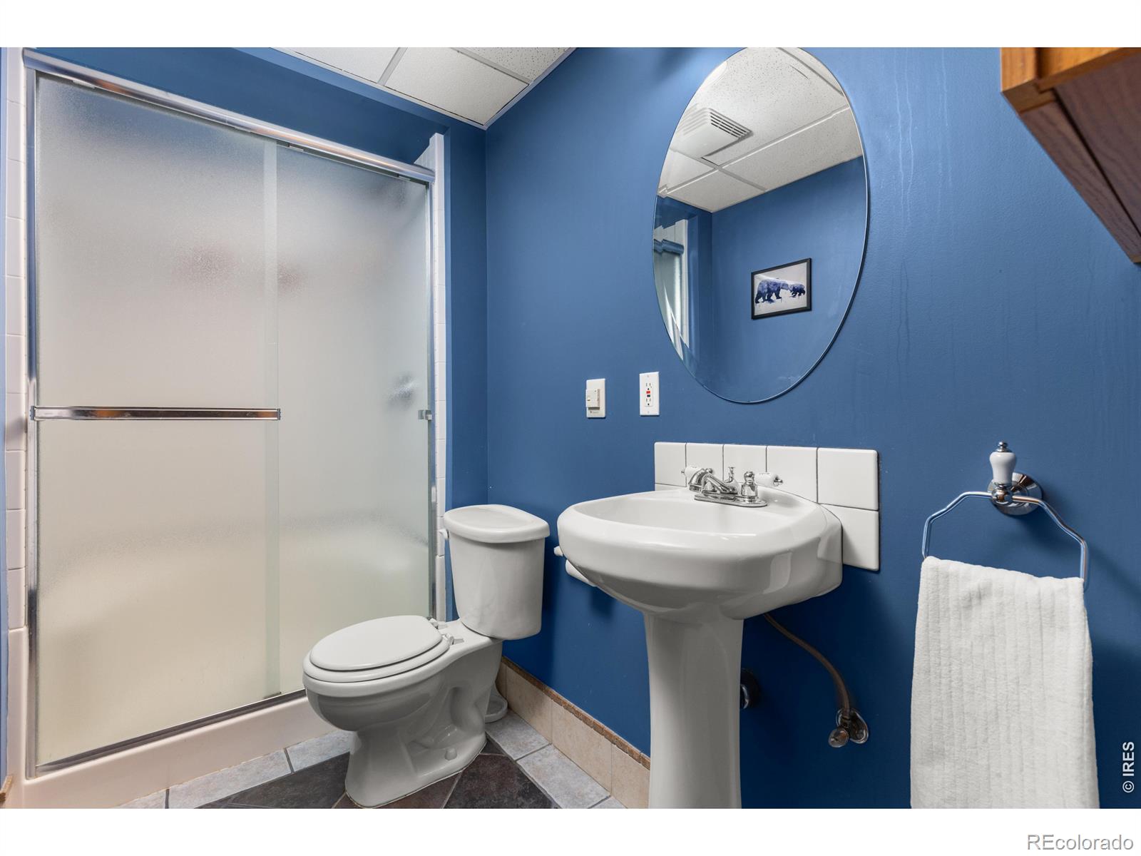 MLS Image #20 for 414  14th street,windsor, Colorado