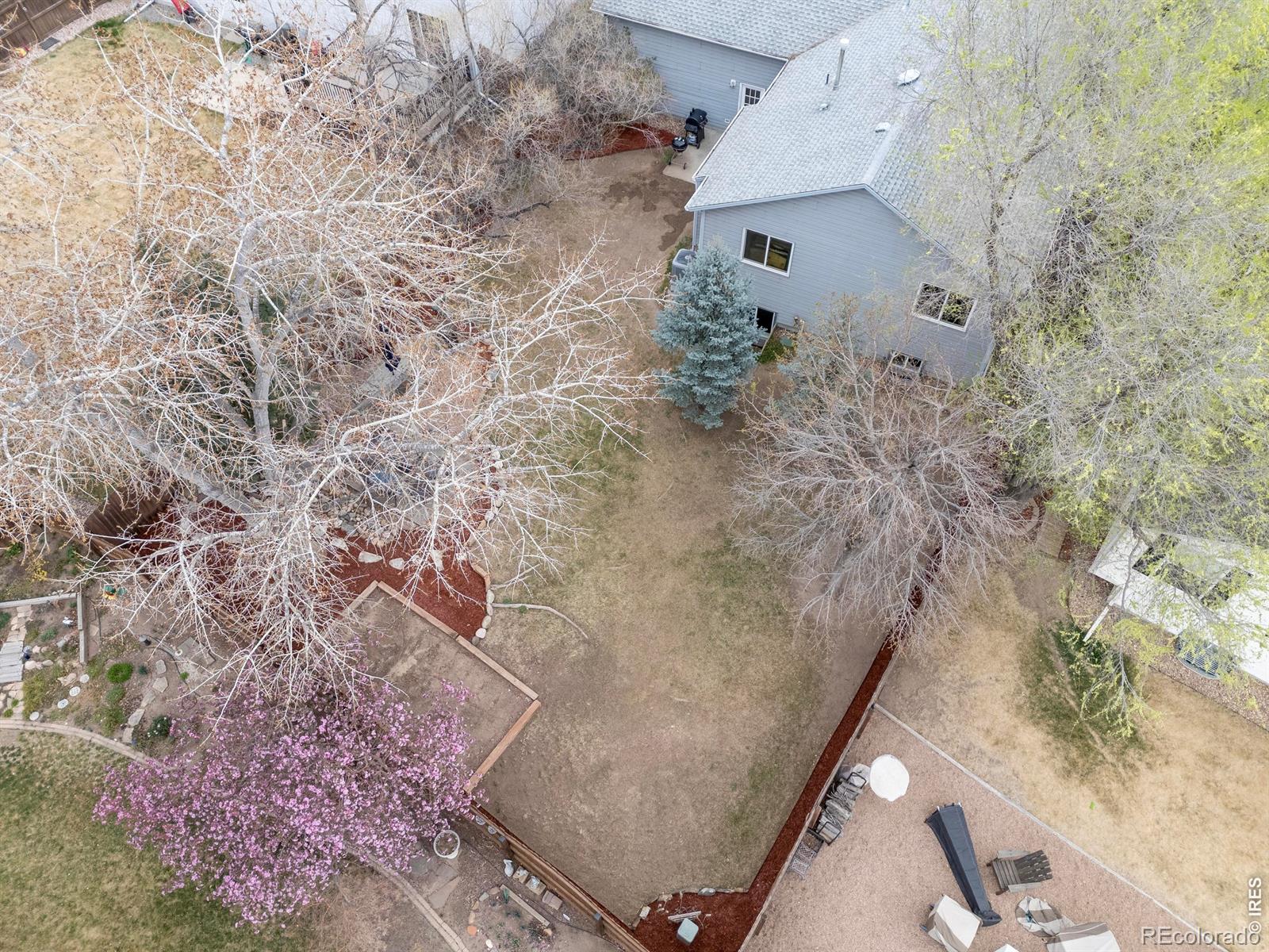 MLS Image #32 for 414  14th street,windsor, Colorado