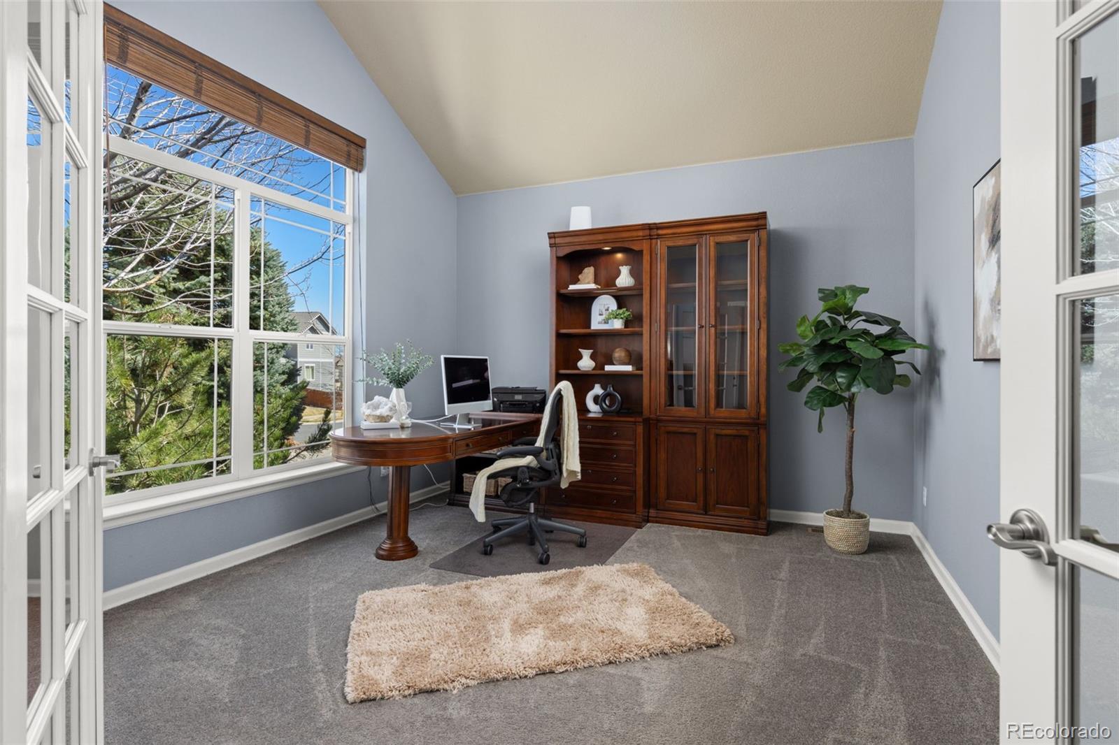 MLS Image #21 for 16498 e black horn drive,parker, Colorado