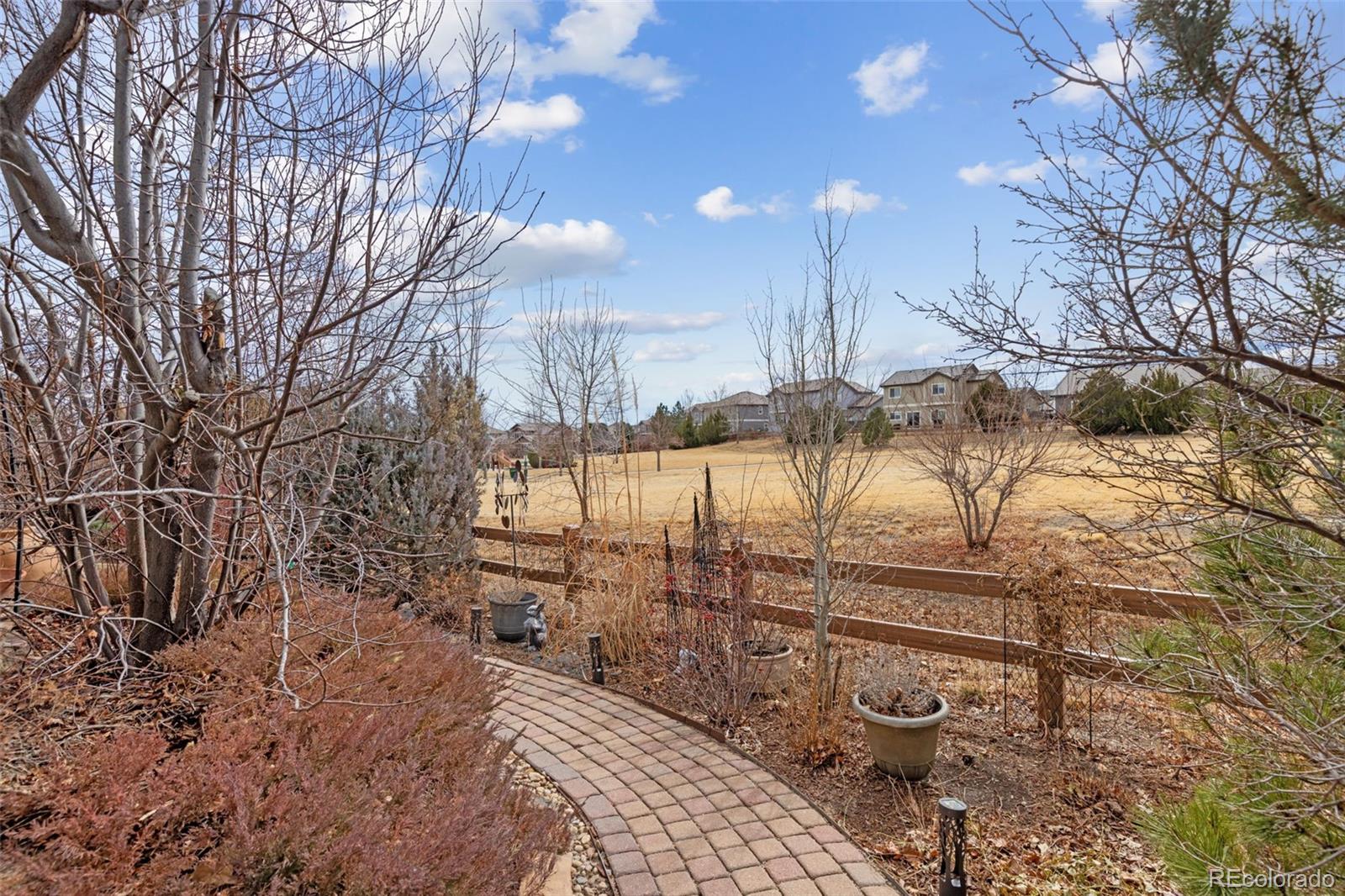 MLS Image #39 for 16498 e black horn drive,parker, Colorado